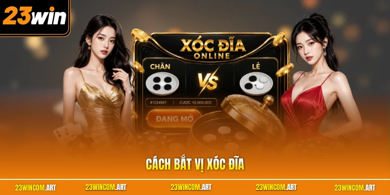 Cách Bắt Vị Xóc Đĩa - Hướng Dẫn Chi Tiết Cho Người Mới
