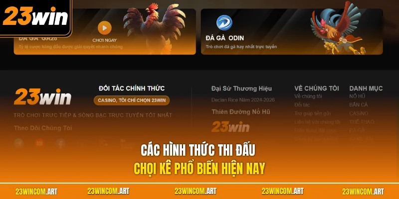 Các hình thức thi đấu chọi kê phổ biến hiện nay