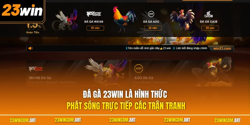 Đá gà 23WIN là hình thức phát sóng trực tiếp các trận tranh